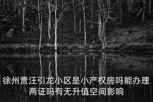 徐州賈汪引龍小區是小產權房嗎能辦理兩證嗎有無升值空間影響