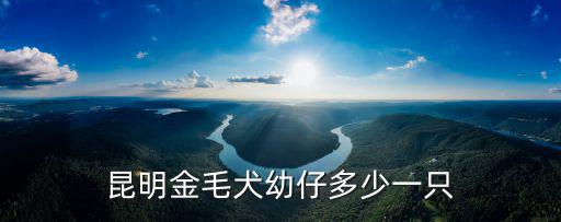 昆明金毛犬幼仔多少一只