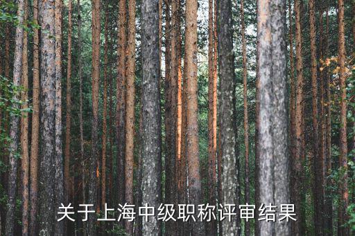 關于上海中級職稱評審結果