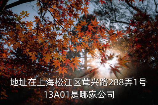 地址在上海松江區茸興路288弄1號13A01是哪家公司