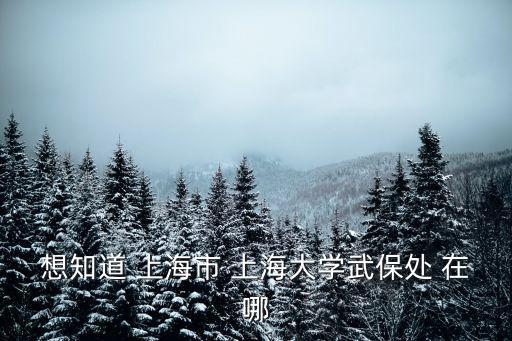 想知道 上海市 上海大學武保處 在哪