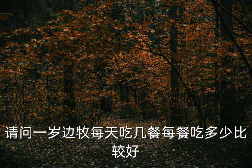 一歲的邊牧一天吃多少，邊牧一歲可以吃什么