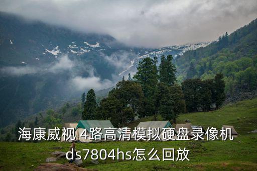 海康威視 4路高清模擬硬盤錄像機 ds7804hs怎么回放