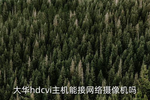 大華HDCVI怎么接入模擬攝像頭，大華hdcvi主機能接網絡攝像機嗎