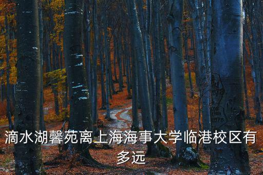 滴水湖馨苑離上海海事大學臨港校區有多遠