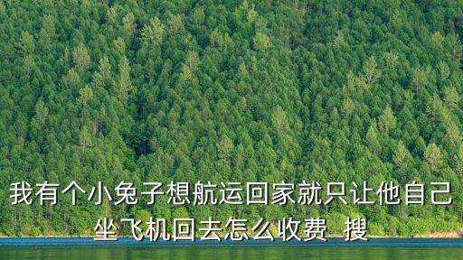 兔子托運需要多少錢，兔兔快運一公斤多少錢