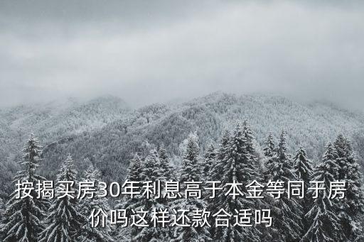 按揭買房30年利息高于本金等同于房價嗎這樣還款合適嗎