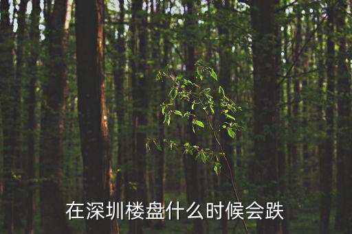 在深圳樓盤什么時候會跌