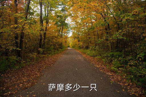 薩摩多少一只