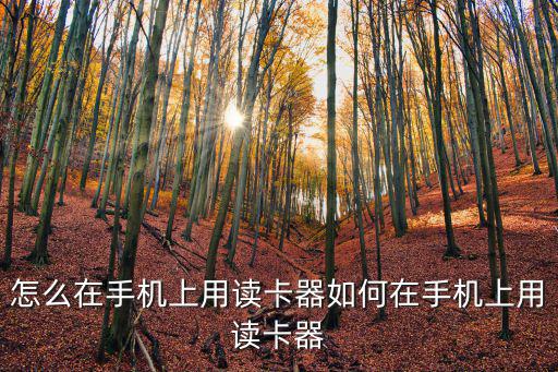 怎么在手機上用讀卡器如何在手機上用讀卡器