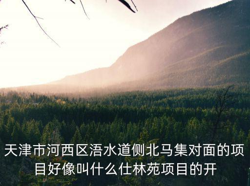 天津市河西區浯水道側北馬集對面的項目好像叫什么仕林苑項目的開