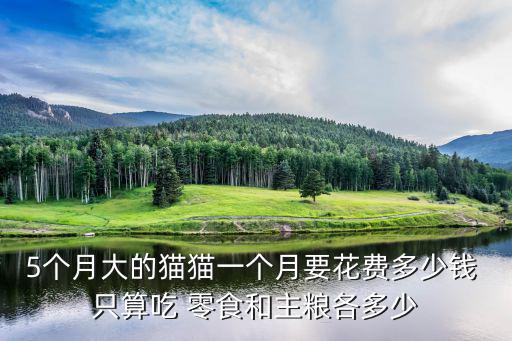 5個月大的貓貓一個月要花費多少錢 只算吃 零食和主糧各多少