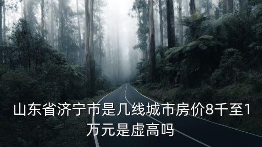 山東省濟(jì)寧市是幾線城市房價8千至1萬元是虛高嗎