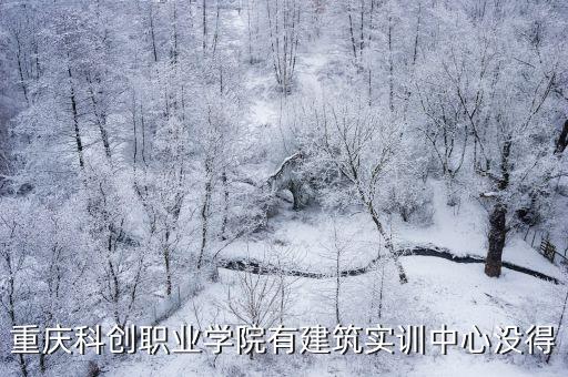 重慶科創職業學院有建筑實訓中心沒得