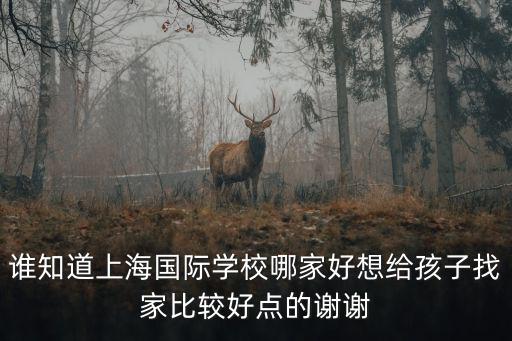 誰知道上海國(guó)際學(xué)校哪家好想給孩子找家比較好點(diǎn)的謝謝