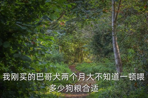 我剛買的巴哥犬兩個月大不知道一頓喂多少狗糧合適