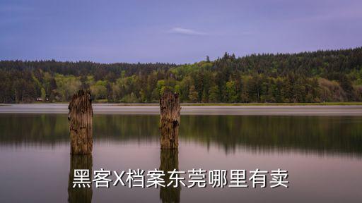 黑客X檔案東莞哪里有賣