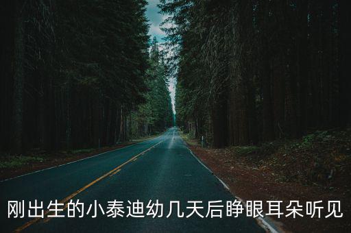 剛出生的小泰迪幼幾天后睜眼耳朵聽見