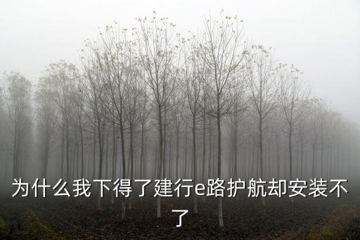 為什么我下得了建行e路護(hù)航卻安裝不了