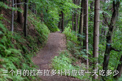三個月的拉布拉多補鈣應該一天吃多少