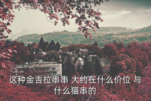一只公金吉拉貓多少錢，金吉拉貓大約多少錢一只