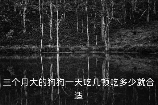 三個(gè)月的小土狗吃多少，三個(gè)月的狗狗一頓要吃多少狗糧