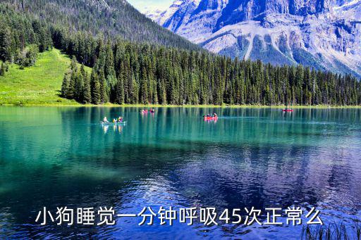小狗睡覺一分鐘呼吸45次正常么