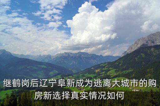 繼鶴崗后遼寧阜新成為逃離大城市的購房新選擇真實情況如何