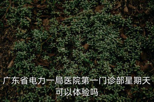 廣東省電力一局醫院第一門診部星期天可以體驗嗎