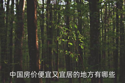 中國房價便宜又宜居的地方有哪些