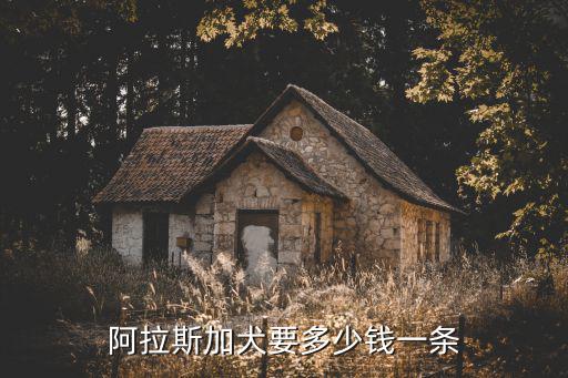阿拉斯加犬要多少錢一條