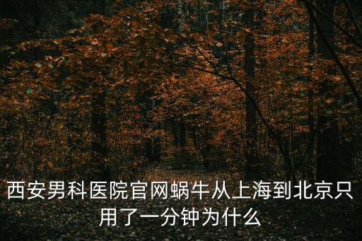 上海市建緯西安律師薛佳林，西安男科醫(yī)院官網(wǎng)蝸牛從上海到北京只用了一分鐘為什么