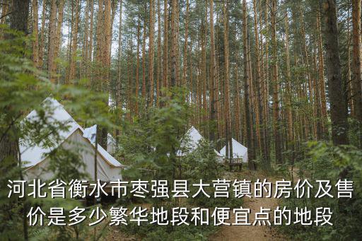 棗強哪個小區房價便宜，河北省衡水市棗強縣大營鎮的房價及售價是多少繁華地段和便宜點的地段