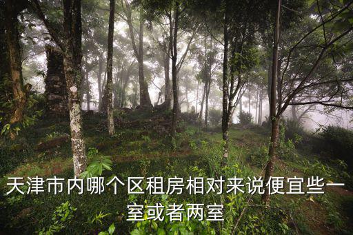 天津市內哪個區租房相對來說便宜些一室或者兩室