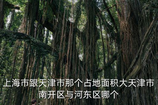 上海市跟天津市那個占地面積大天津市南開區(qū)與河東區(qū)哪個