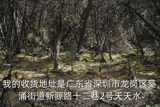 深圳葵涌傷人事件，深圳龍崗哪里的海被封了