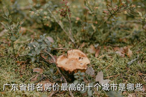 廣東省排名房價最高的十個城市是哪些