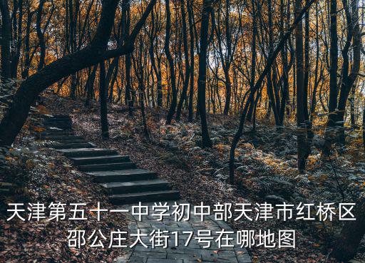天津第五十一中學初中部天津市紅橋區邵公莊大街17號在哪地圖