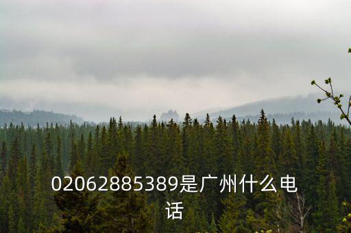 02062885389是廣州什么電話