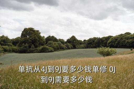 單抗從4J到9J要多少錢(qián)單修 0J到9J需要多少錢(qián)