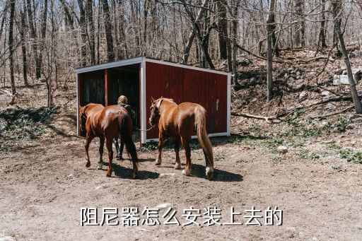 阻尼器怎么安裝上去的