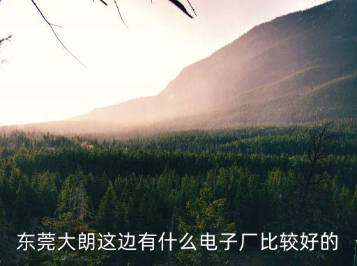 東莞大朗這邊有什么電子廠比較好的