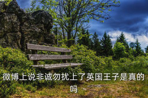深圳小海南在英國(guó)視頻，微博上說(shuō)非誠(chéng)勿擾上了英國(guó)王子是真的嗎