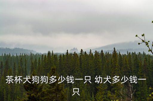 茶杯犬狗狗多少錢一只 幼犬多少錢一只