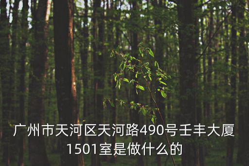 廣州德晟化工，廣州市天河區天河路490號壬豐大廈1501室是做什么的