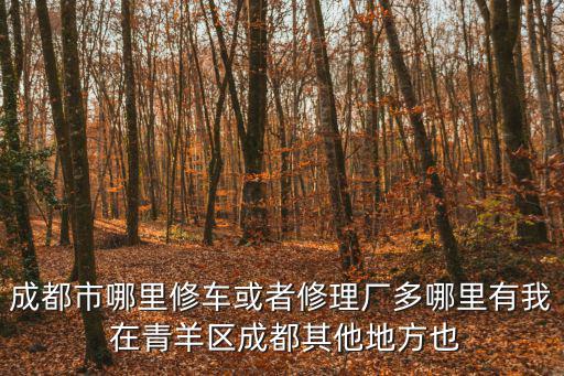 成都市哪里修車或者修理廠多哪里有我 在青羊區(qū)成都其他地方也