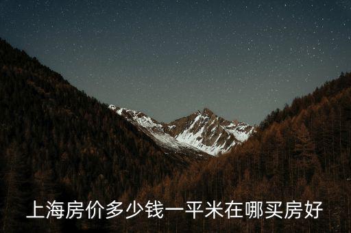 上海房價多少錢一平米在哪買房好