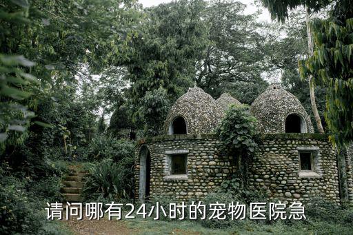 請問哪有24小時的寵物醫院急