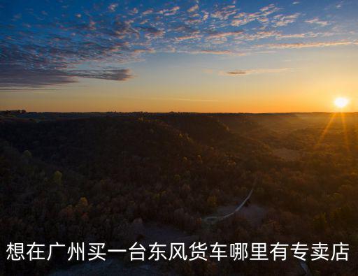 廣州東風貨車汽配行，請問廣州的東風天錦貨車配件專賣店是在那個地方啊