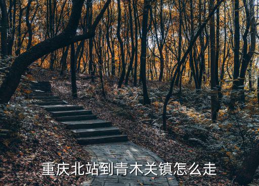 重慶北站到青木關鎮怎么走